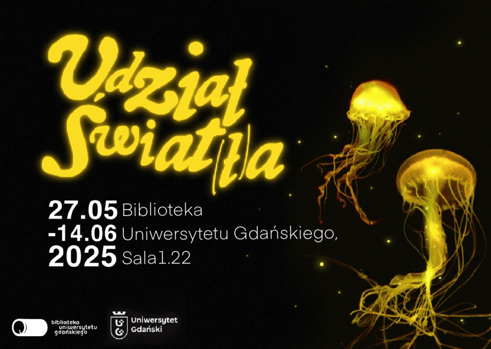 Udział światła - plakat