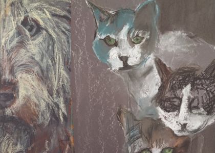 PSYKOTY - exhibition