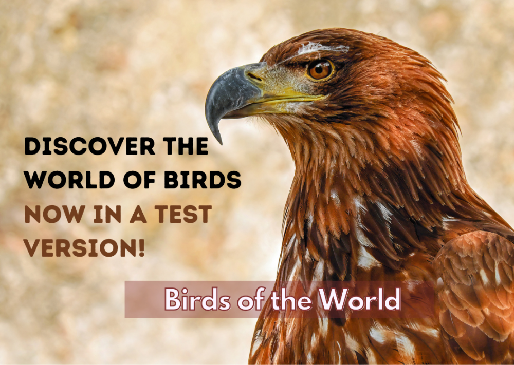 Birds of the World