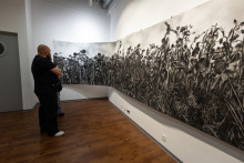 Following the Sun - exhibition