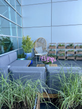 terrace at the Main Library