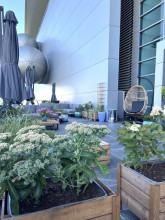 terrace at the Main Library