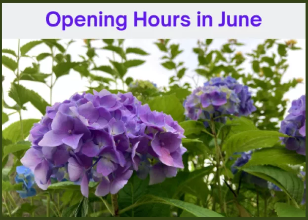 Library opening hours in June